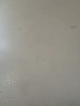 diamondunleashes online show from 04-20-26, 08:43