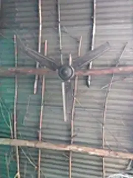 Pooja750 online show from 12-21-25, 04:47