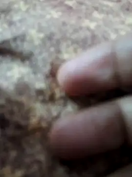 Snapshot of BeautyGirl_sara chatting on 02-14-26, 09:42 BeautyGirl sara online show from 02-14-26, 09:42