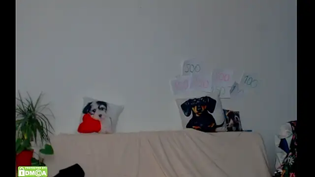 ZeinMiracles online show from 02-17-26, 08:39