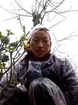 tcm-cute online show from 11-03-25, 08:07