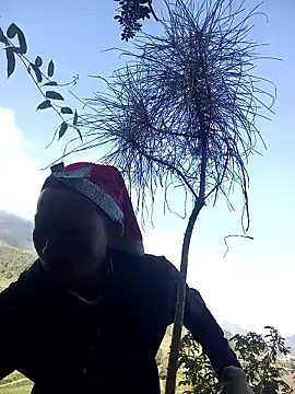 tcm-cute online show from 10-28-25, 01:39