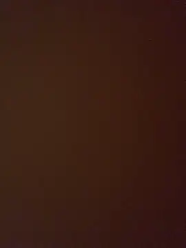 Snapshot of _marcellasilva01 chatting on 09-11-25, 04:12 marcellasilva01 online show from 09-11-25, 04:12