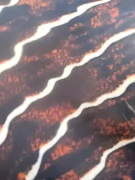 Snapshot of Idhika_Handoo chatting on 02-13-26, 11:54 Idhika Handoo online show from 02-13-26, 11:54