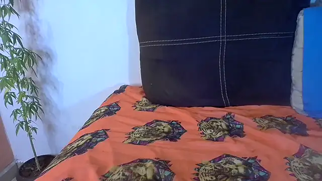 Snapshot of Analvamp chatting on 10-21-25, 04:23 Analvamp online show from 10-21-25, 04:23