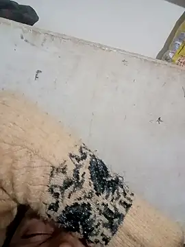 Payal950 online show from 12-03-25, 03:44