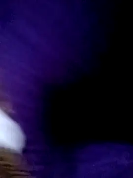 Payal950 online show from 02-13-26, 04:18