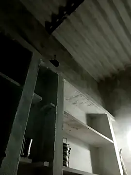 Payal950 online show from 11-08-25, 12:42