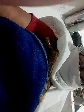 Payal950 online show from 11-01-25, 09:08