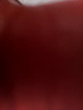 Payal950 online show from 11-25-25, 10:37