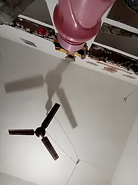 Payal950 online show from 11-15-25, 12:03