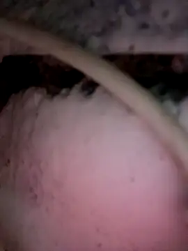 Payal950 online show from 12-03-25, 12:01