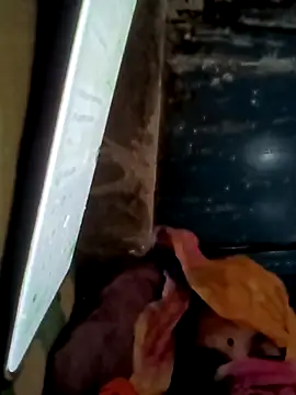 Payal950 online show from 11-16-25, 01:43