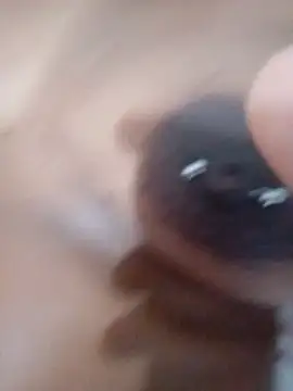 nessinha12 online show from 11-10-25, 10:53