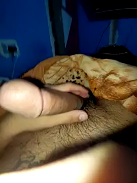 Snapshot of Exotic19cm chatting on 12-18-25, 06:29 Exotic19cm online show from 12-18-25, 06:29