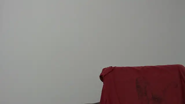 Rocky Muscle online show from 02-05-26, 04:52