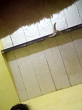 Seema guptaji online show from 11-15-25, 09:19