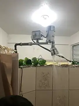 YadielPublic online show from 02-27-26, 12:55