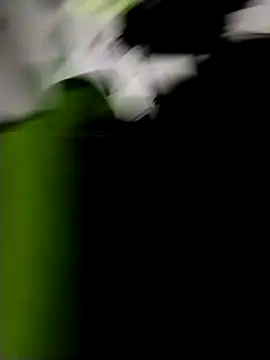 danigarci2307 online show from 10-21-25, 10:31