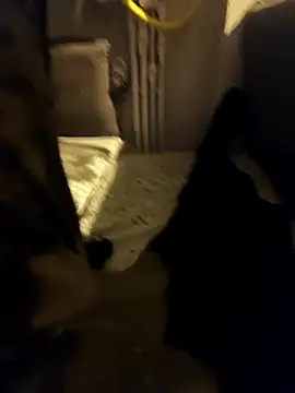 siadxh online show from 02-06-26, 11:45