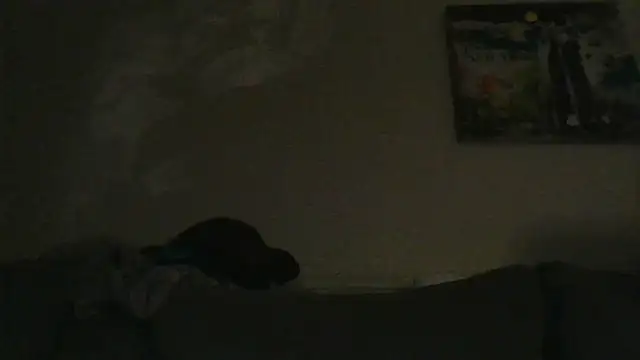 branletteur online show from 10-06-25, 07:53