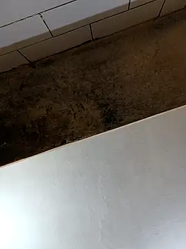 xyz-indian online show from 10-28-25, 02:49