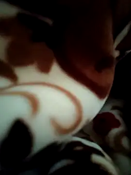 Hot pooja55 online show from 02-11-26, 06:57