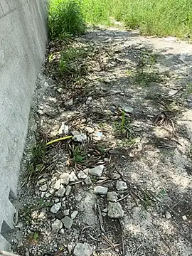 Snapshot of magraocam chatting on 02-19-26, 02:58 magraocam online show from 02-19-26, 02:58