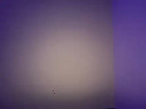 LustyDuoSecrets online show from 11-11-25, 06:25