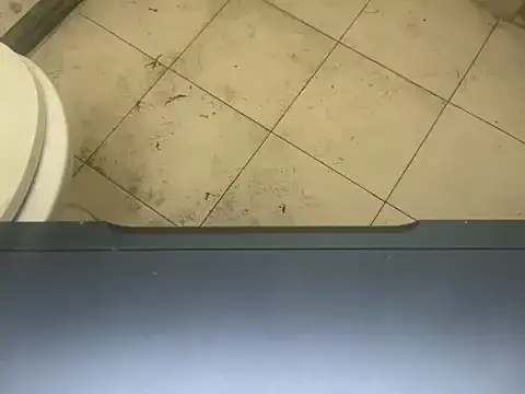 LustyDuoSecrets online show from 11-03-25, 04:32