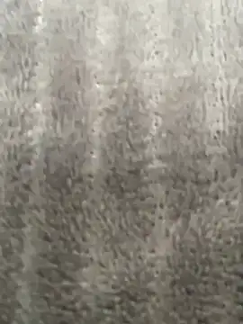 HeerStd online show from 11-20-25, 04:46