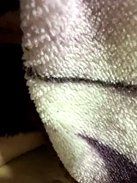 Snapshot of anhyeucuaemdayne chatting on 11-09-25, 05:06 anhyeucuaemdayne online show from 11-09-25, 05:06