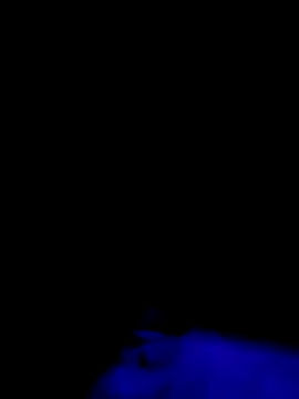 Snapshot of Jbames4567 chatting on 09-21-25, 01:22 Jbames4567 online show from 09-21-25, 01:22