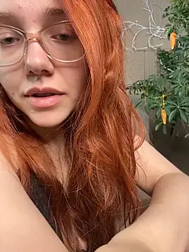 PollyVinice online show from 05-25-26, 05:33