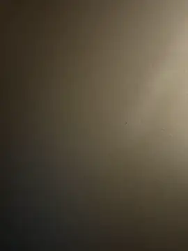 Rosalee2 online show from 10-15-25, 10:23