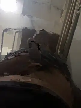 Snapshot of 1995Pk chatting on 09-24-25, 05:08 1995Pk online show from 09-24-25, 05:08