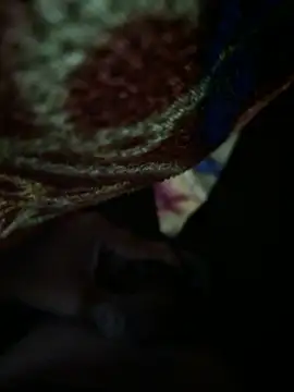 Snapshot of 1995Pk chatting on 09-29-25, 06:24 1995Pk online show from 09-29-25, 06:24