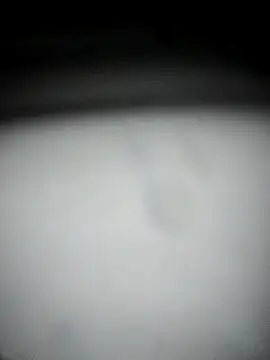 Snapshot of hana9998 chatting on 09-11-25, 12:54 hana9998 online show from 09-11-25, 12:54