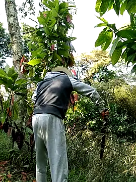 AlphaAlterX online show from 02-28-26, 01:22