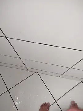 Novin23cms online show from 12-02-25, 02:08