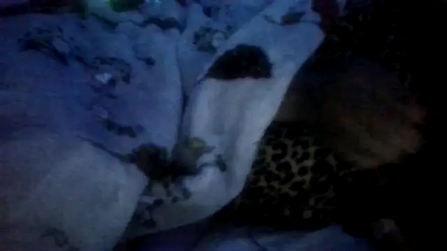 prettymaa online show from 04-28-26, 03:22