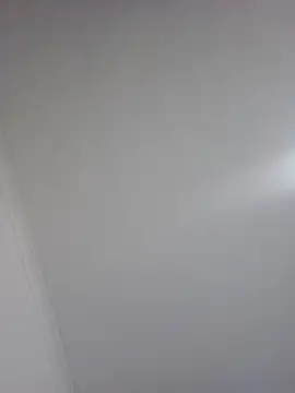 trickyOne online show from 11-01-25, 08:46