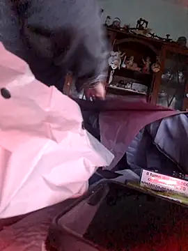 TigreBianca27 online show from 11-06-25, 03:49