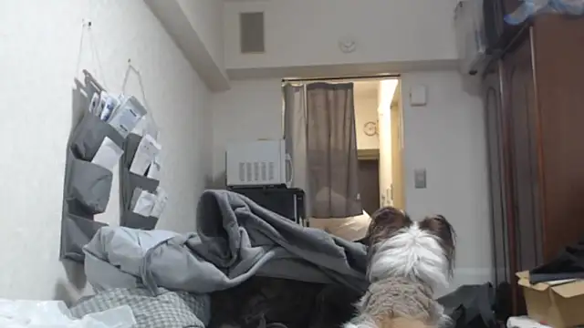 raterate555 online show from 03-05-26, 01:19