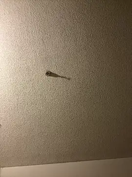 Snapshot of aurorasparkles chatting on 09-24-25, 02:45 aurorasparkles online show from 09-24-25, 02:45