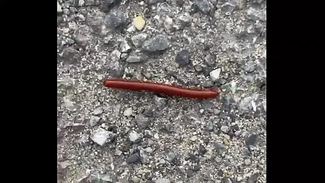 Snapshot of ohyesd4ddy chatting on 12-01-25, 06:20 ohyesd4ddy online show from 12-01-25, 06:20