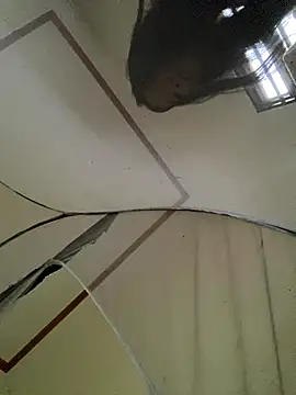 viluna online show from 11-02-25, 05:12