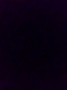 charlotte dante212 online show from 10-02-25, 08:50