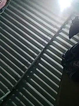 Tamilgud23 online show from 11-16-25, 04:23