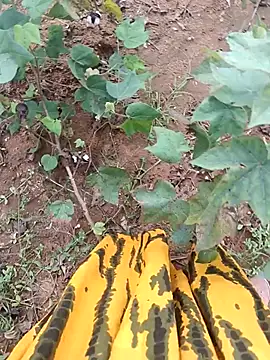 jothitelugu online show from 10-21-25, 06:57